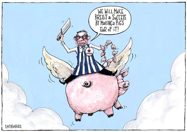 Pig Michael Gove cartoon